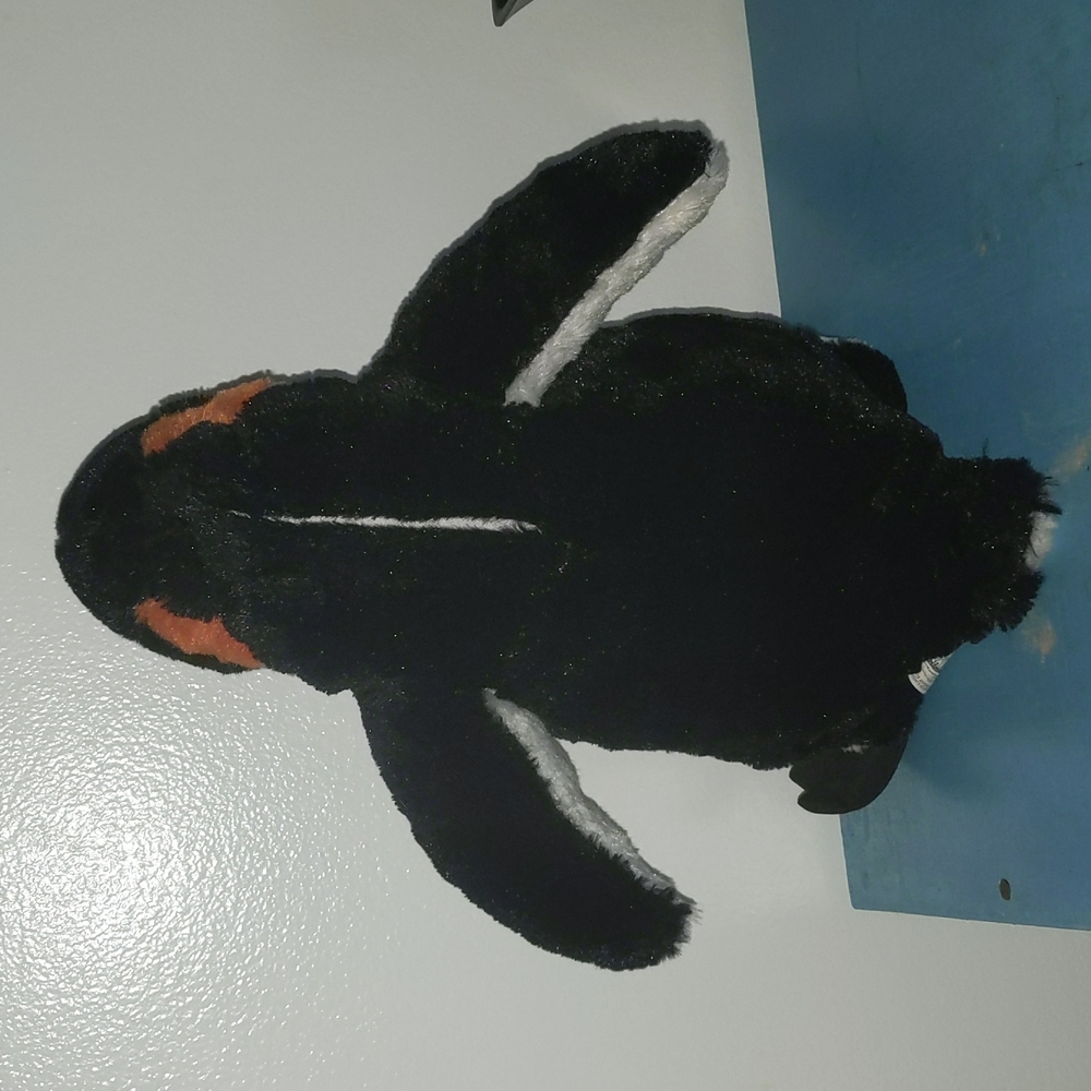 Penguin Plush - Picture 3 of 3
